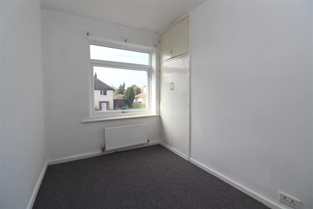 IMG 4768  Medium  T202503141450.jpg