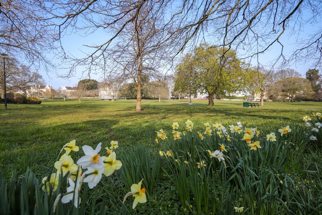 Courtenay Park