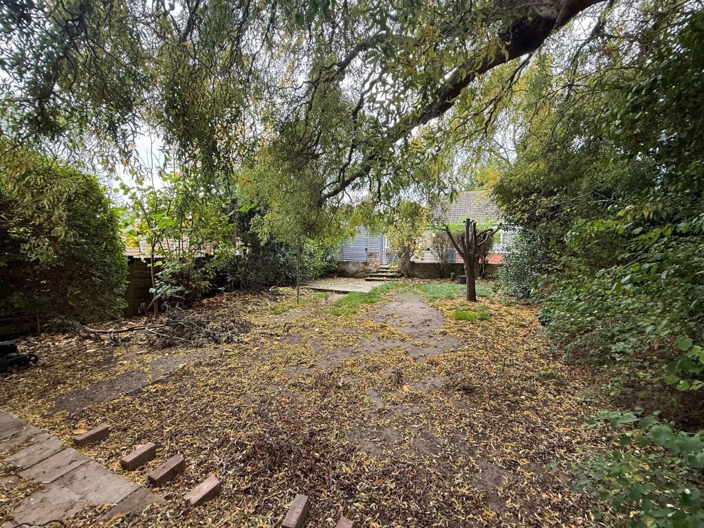Outside 4  Medium  T202511061138.jpg