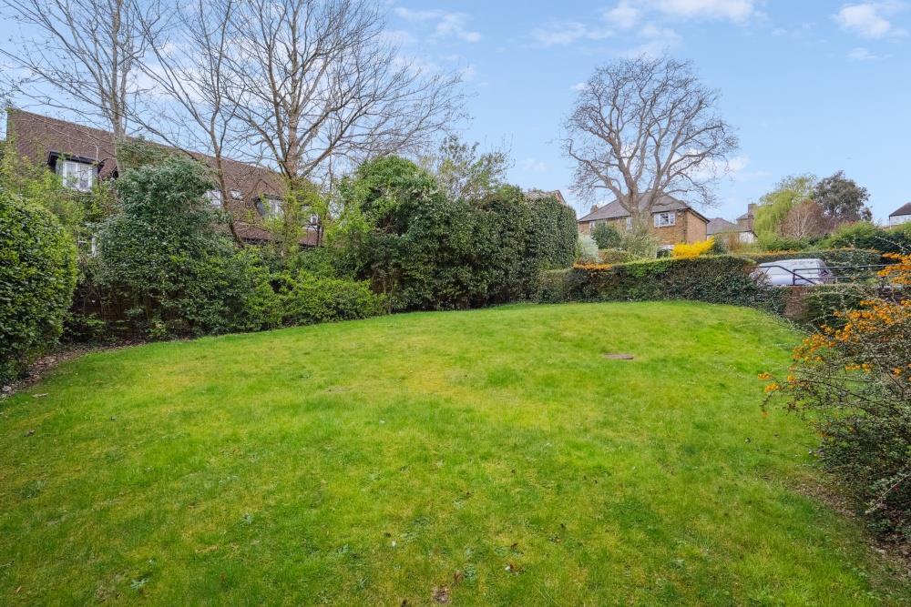 DSC00856 - 800px.jpg