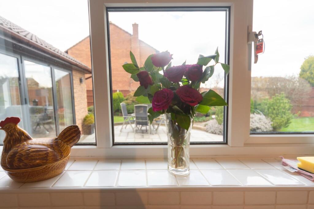Window