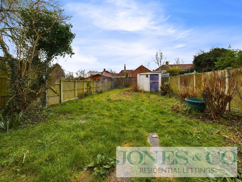Back garden