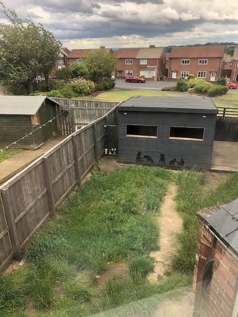 Back garden.jpg
