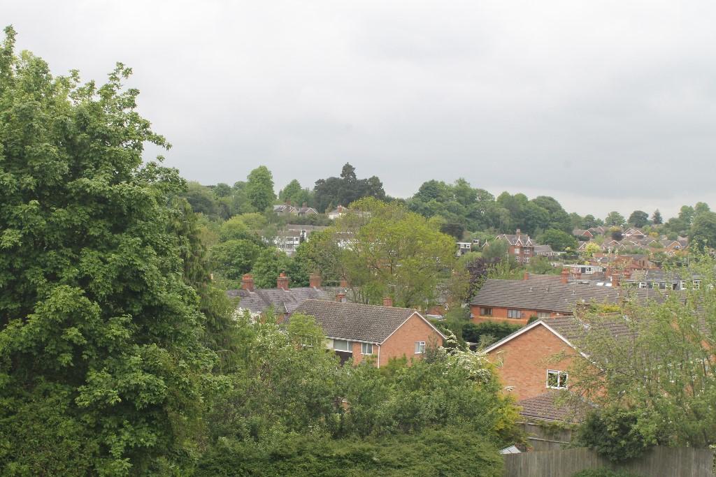 View from rear windo