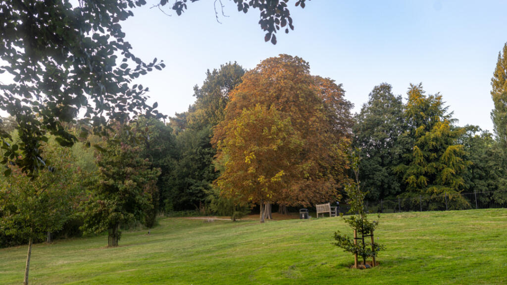 Nearby Parks