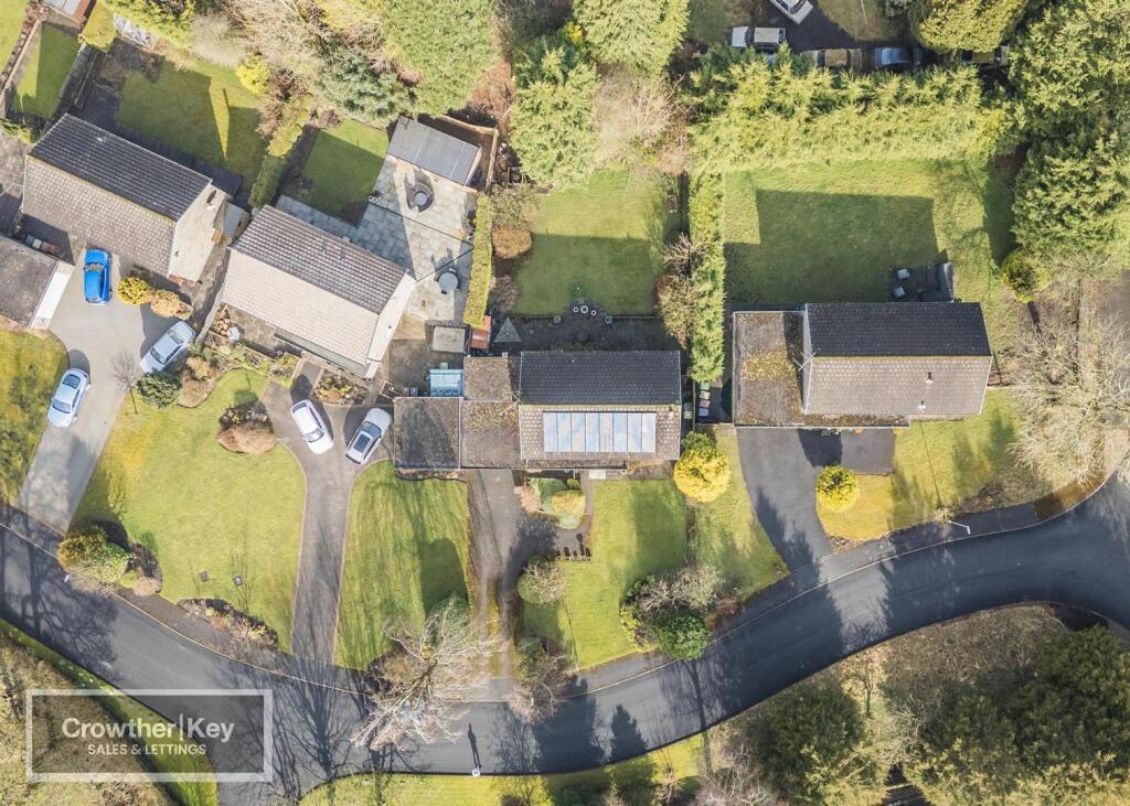 20250307-DJI_0005.jpg