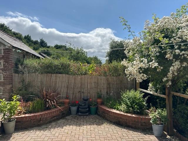 garden1.jpg