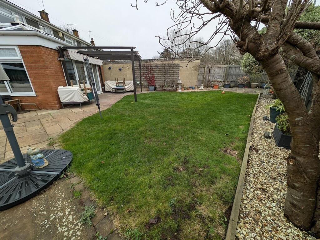 garden.jpg