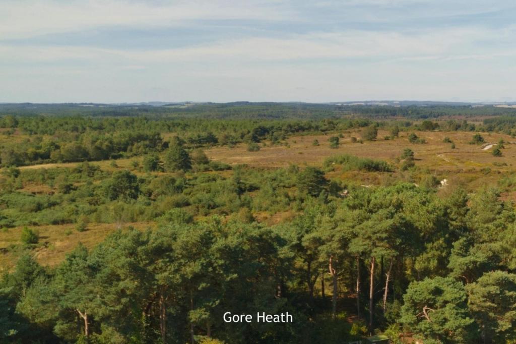 9-Gore Heath