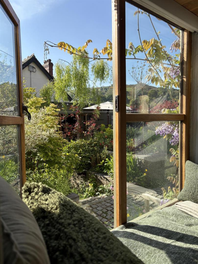 View From The Window