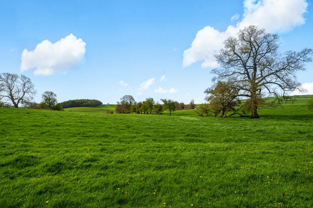 Countryside Views