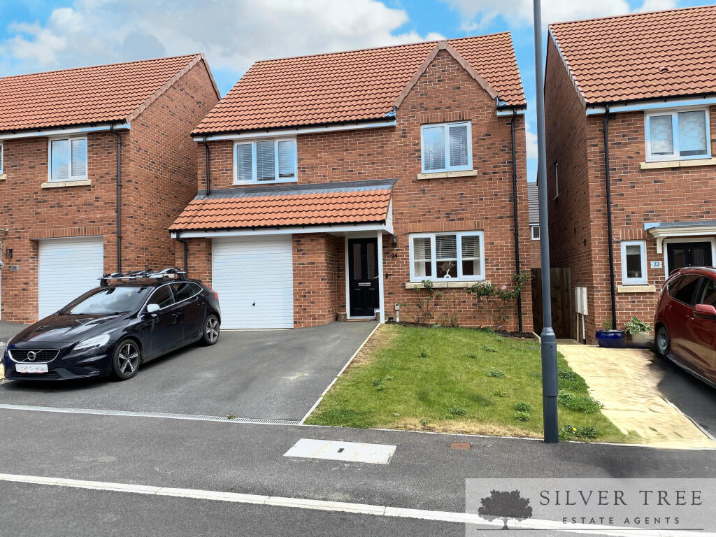 PICNIC_20250530_170536896