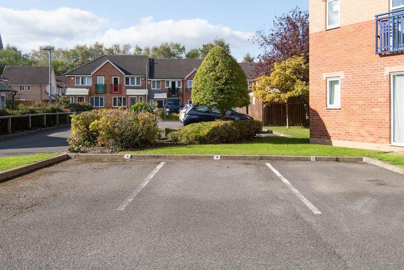 Cvb733 T202512101409.jpg