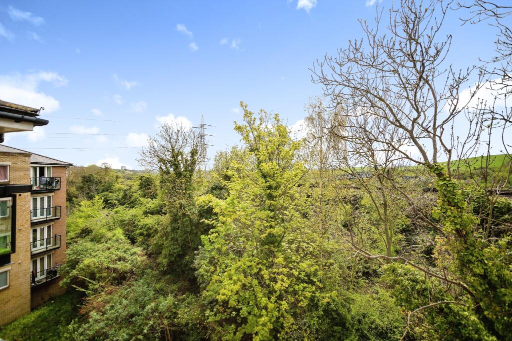 Surrounding Area