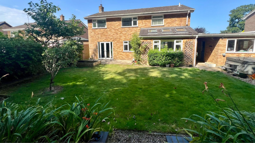 Back garden