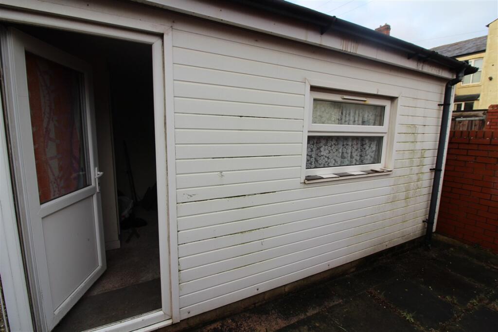 IMG 4284  Medium  T202502031203.jpg