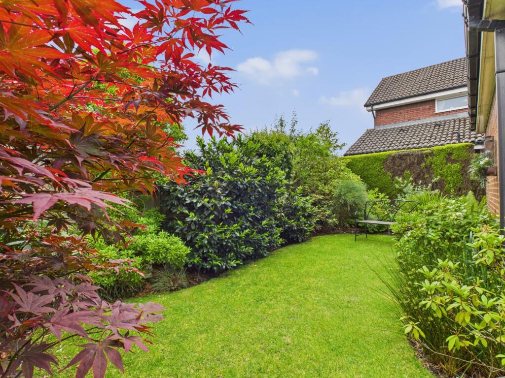 CAM03729G0-PR0056-STILL011