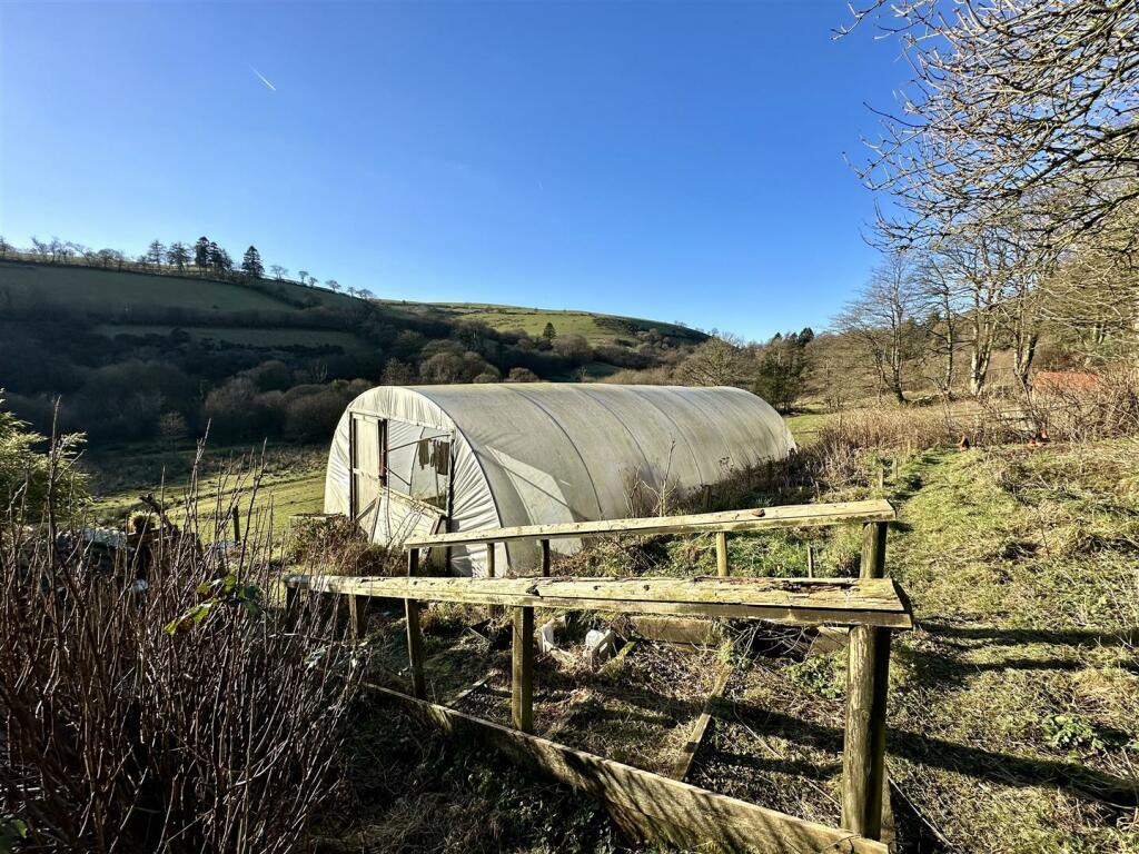 Polytunnel