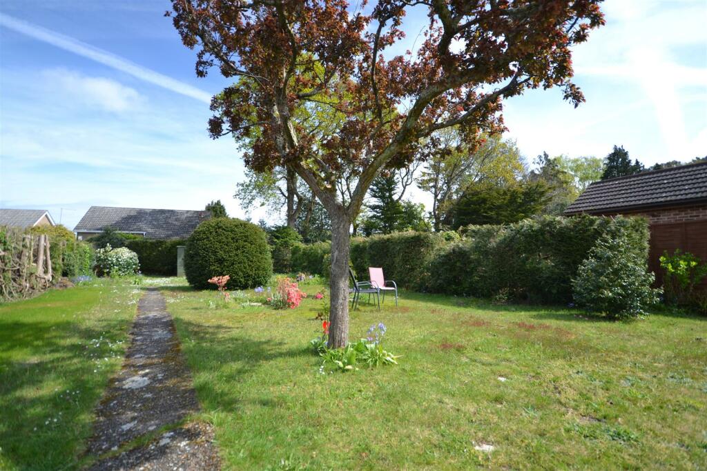 Rear Garden (2).JPG