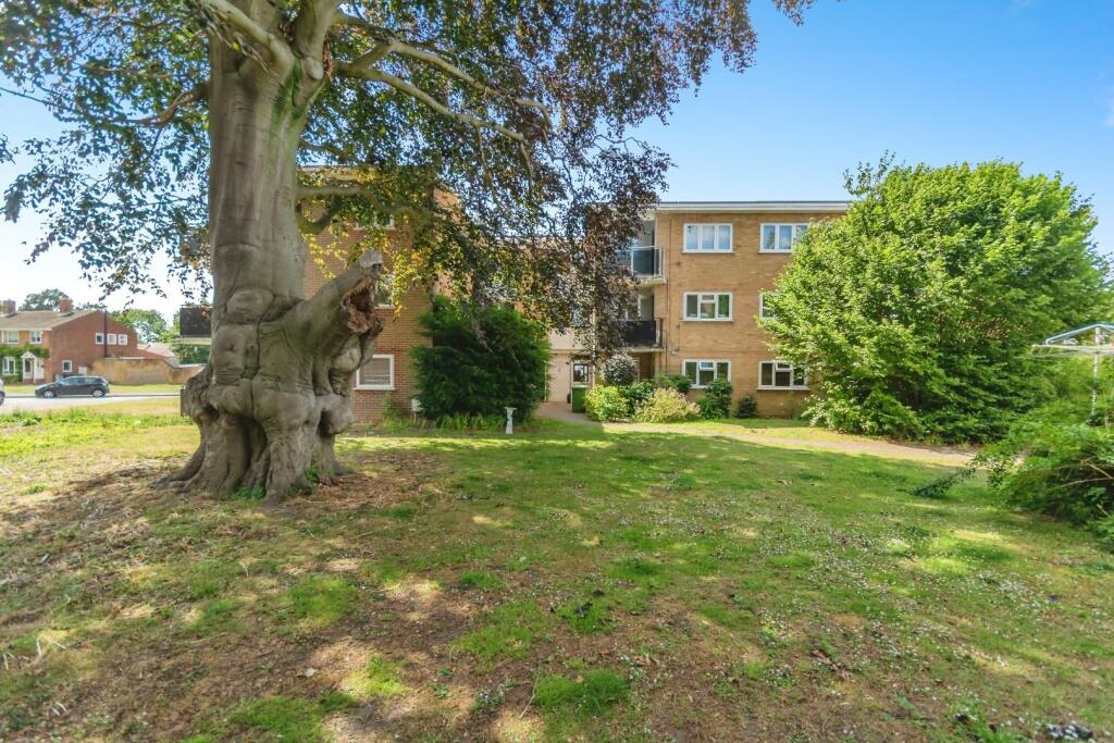 Communal Garden 2.jpg