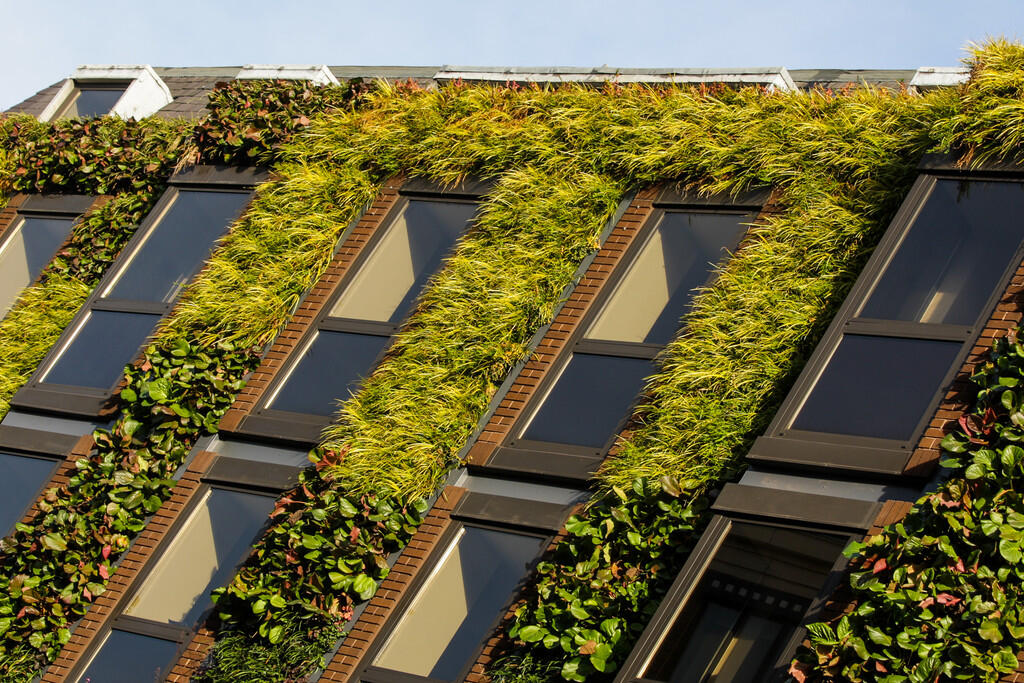 Green wall James ...