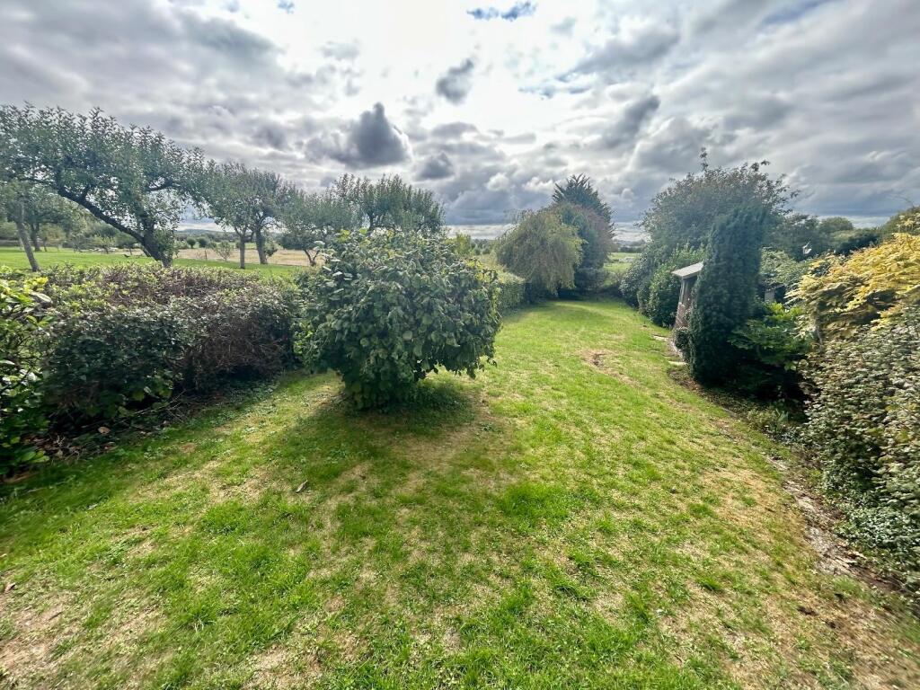 Back Garden