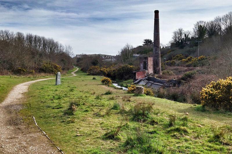 Tuckingmill Valley