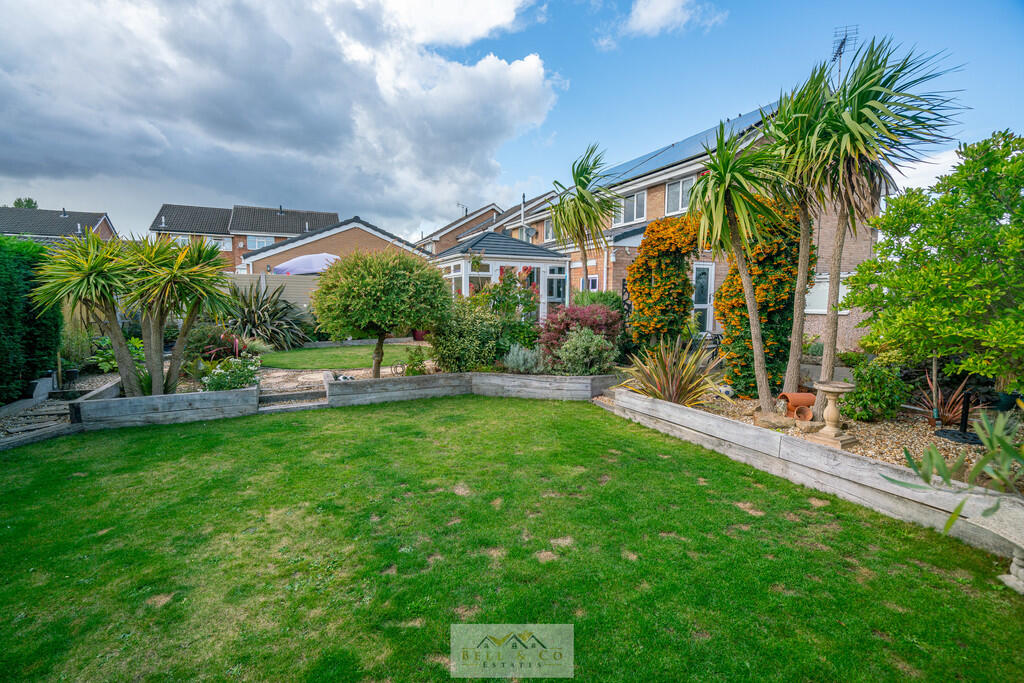 Back garden 1.5