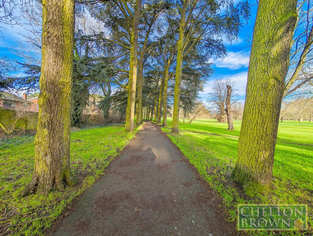 Local Park