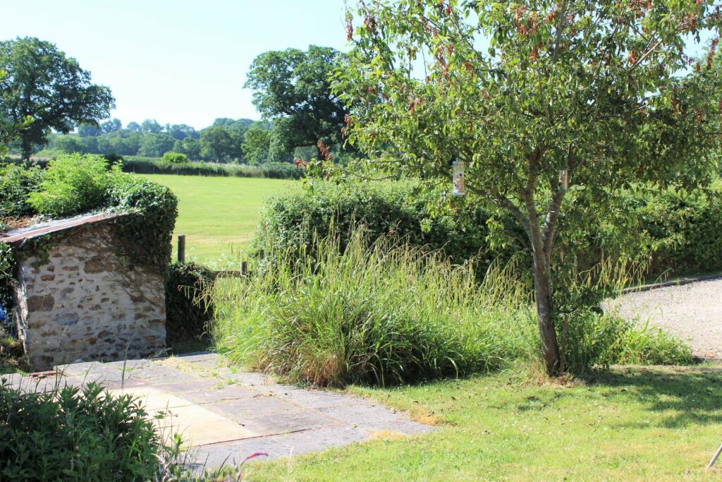 Garden/Parking Plot