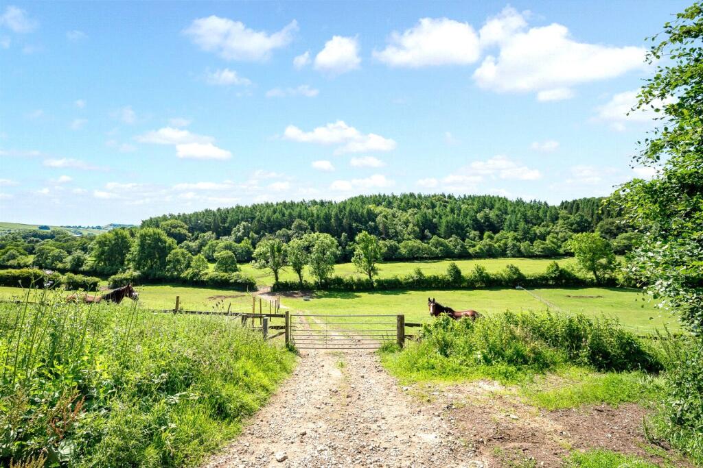 Pasture Land