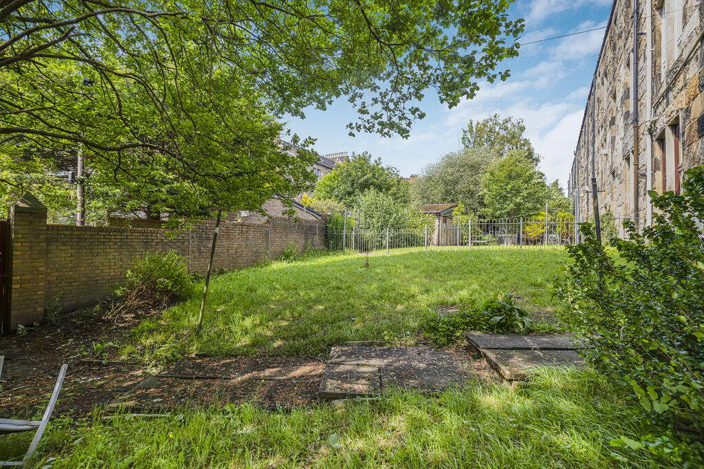 31-print-231 Bear...