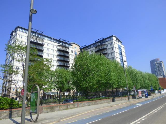 P1020777.JPG