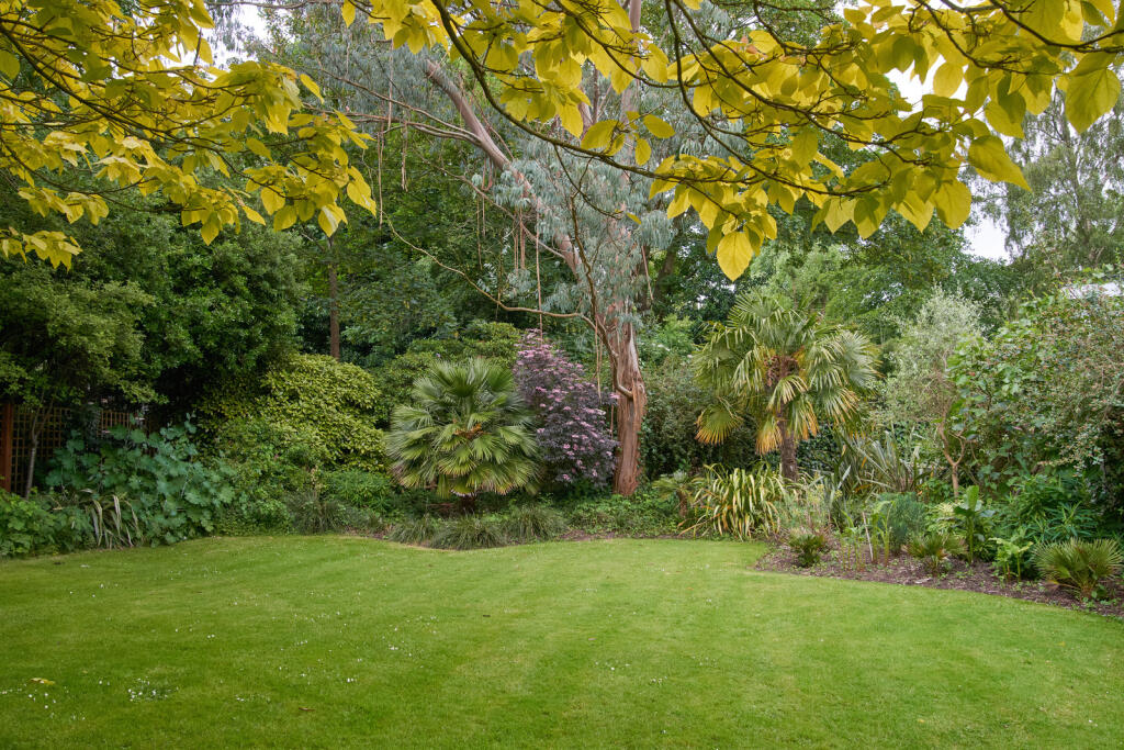 219141 - _DSC6598.jpg