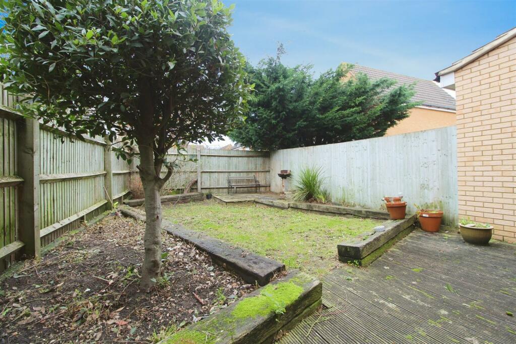 rear.jpeg