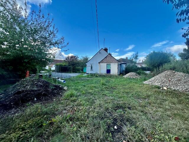 2 (Small) T202409301040.jpg