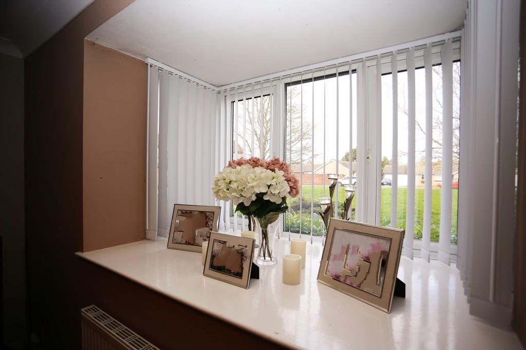 Bay Window