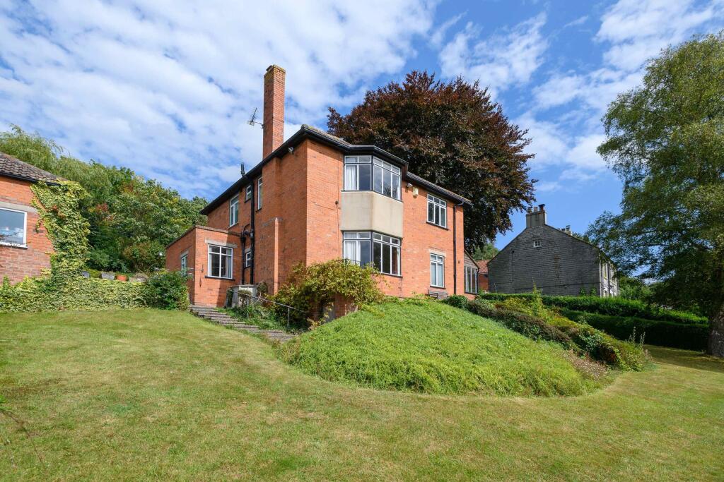 TEK HiRes 240827 021.jpeg