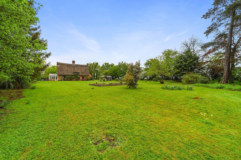 PT-DB(WP)-TheRose...