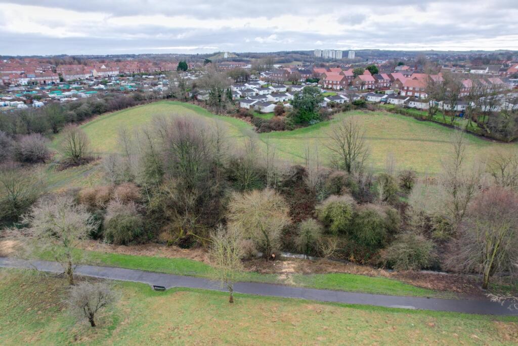 dji_fly_20240130_100830_164_1706614472796_photo
