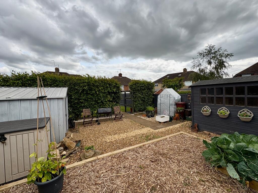 vegetable plot