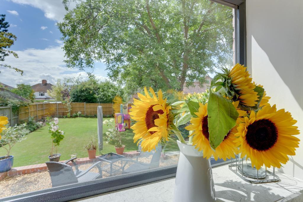 View from the kitchen window