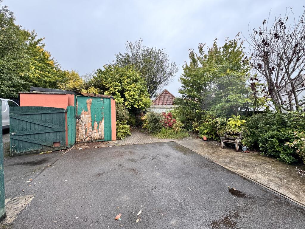 IMG 8187 T202510031708.jpeg