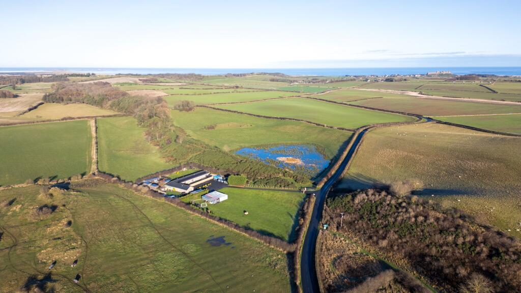 Aerial View 2