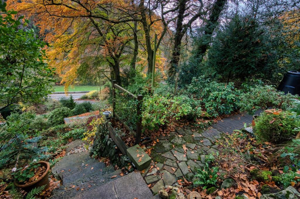 Front Garden.jpg