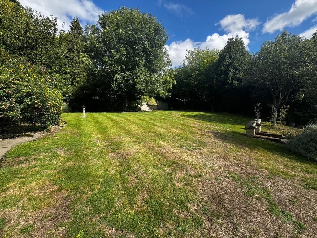 garden3