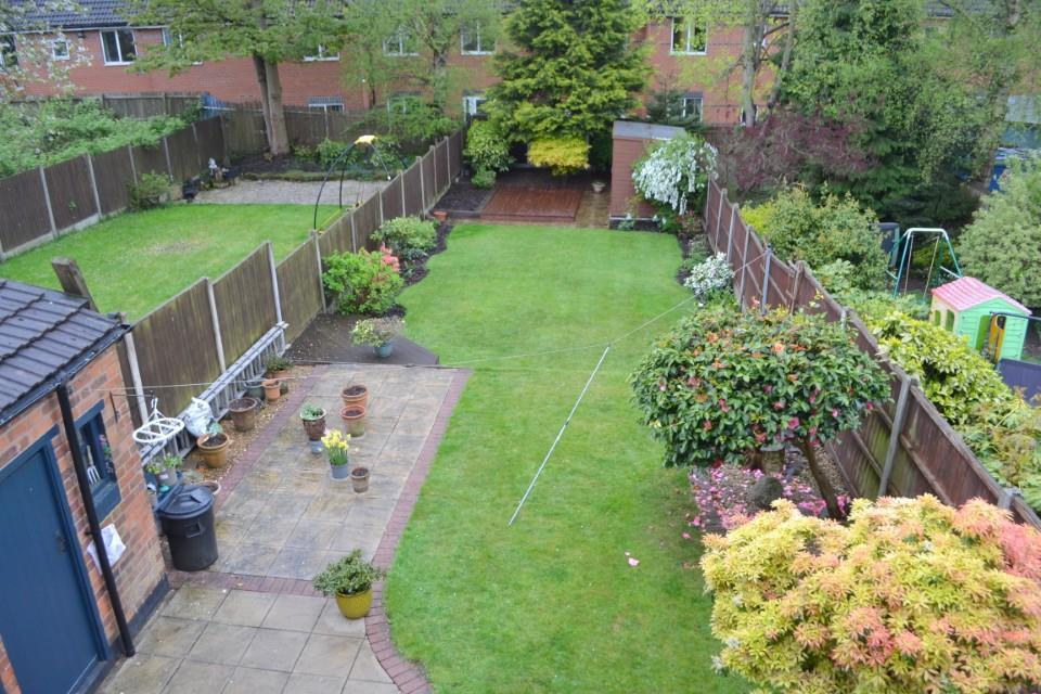 garden 1 (Custom).JPG