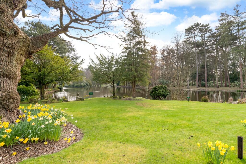 Grounds