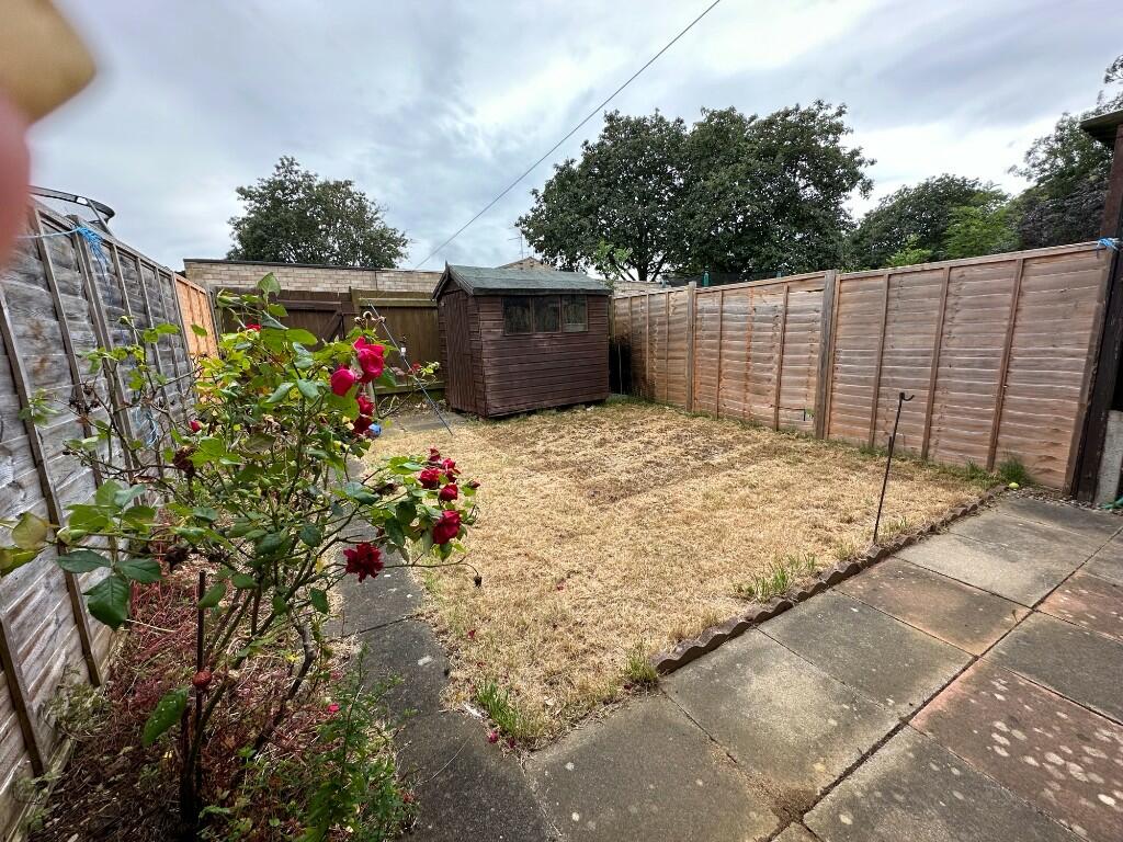 Back Garden