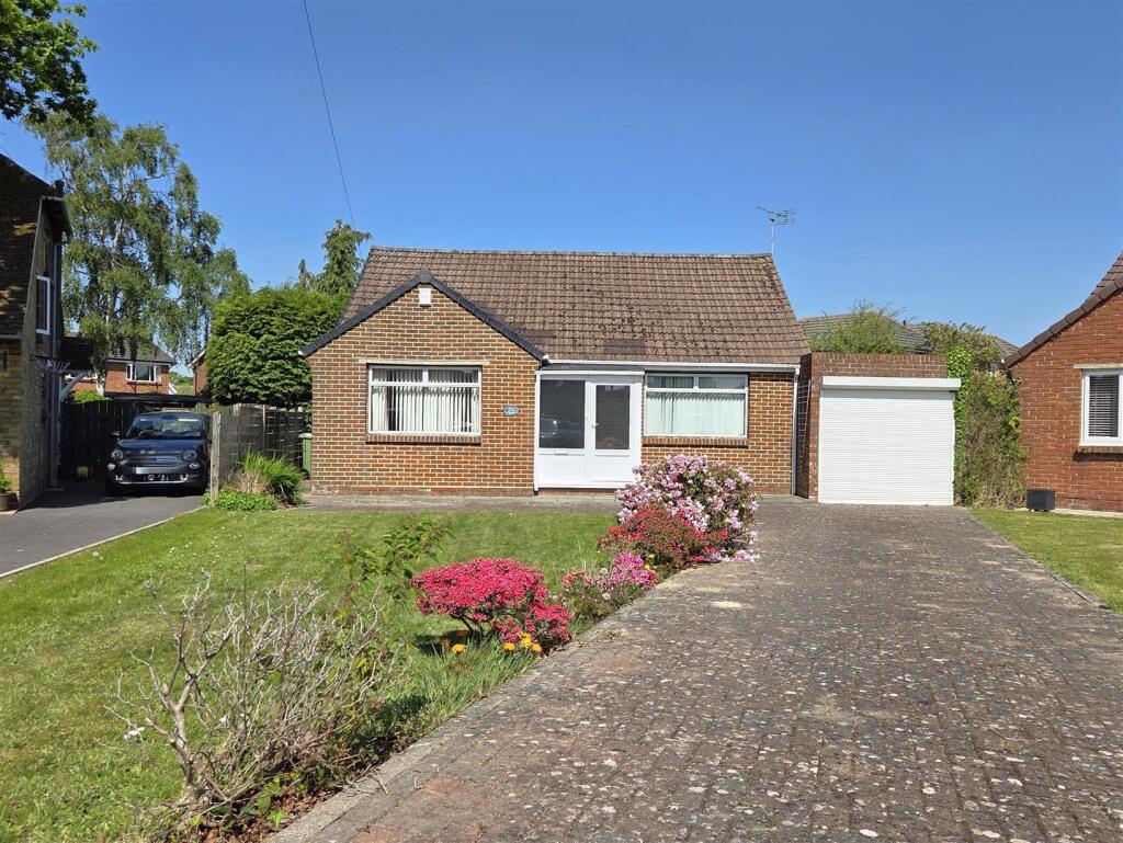 20250430_112609 (2).jpg